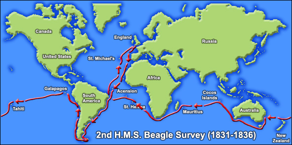 Beagle Darwin naturalist