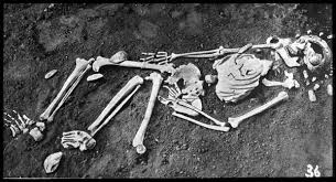 scheletul Omului din Cro-Magnon