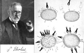 31 august 1909: Prima chemoterapie testată cu succes