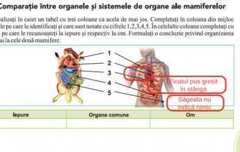 Hotnews: În noul manual de biologie, inima și ficatul sunt poziționate greșit în corp