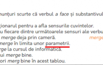 Manualul de limba română, ieșit și el din ”parametrii”