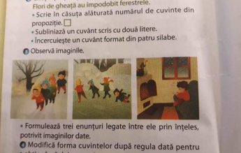 Cum arăta enunțul exercițiului cu ”patinuar” de la Iași. Și un apel la prudență față de FAKE NEWS