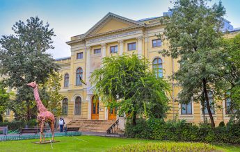 Guvernul vrea să înstrăineze jumătate din terenul Muzeului Antipa. Cum răspunde instituția