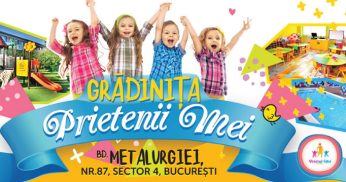 Prietenii Mei