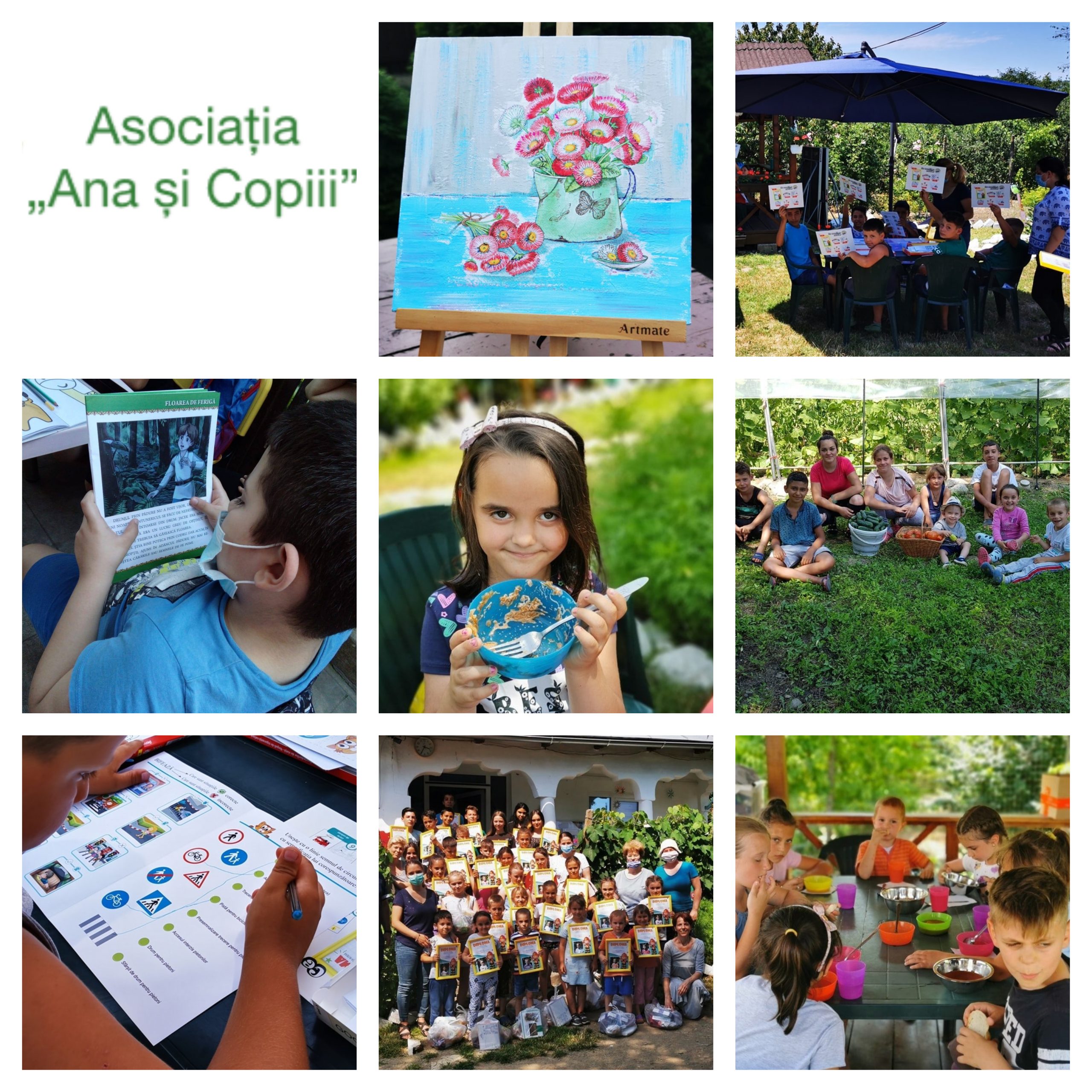 AsociaÈ›ia Ana È™i Copiii È™coalÄƒ De VarÄƒ Pentru Alfabetizarea DigitalÄƒ A Copiilor È™i PÄƒrinÈ›ilor Din Familii Vulnerabile Educatie Privata