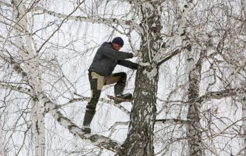 Un student din Rusia se urcă într-un copac la 8 metri înălțime, ca să aibă internet pentru cursurile online