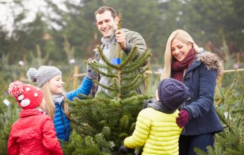 EXCLUSIV Școlile vor putea decide ca ziua de 23 decembrie să nu fie cu prezență fizică, ci cu proiecte în familie