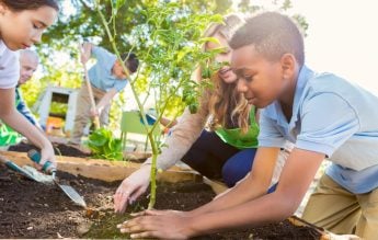 Profesorii din România, încurajați să aducă temele de mediu la clasă prin programul Climate Action in Education