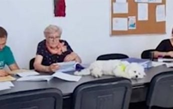 Directoarea unui liceu din Timișoara a făcut parastas în clasă, pentru mama sa