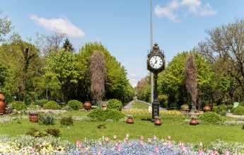 Şcoala Metropolitană ARC, eveniment de educație ecologică și stimulare a voluntariatului pentru binele comunității