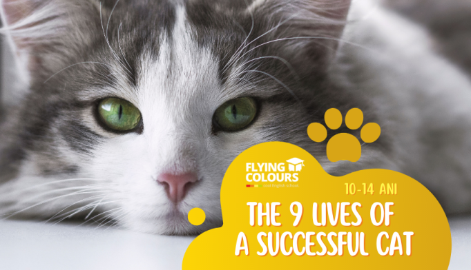 9 lives of a successful cat