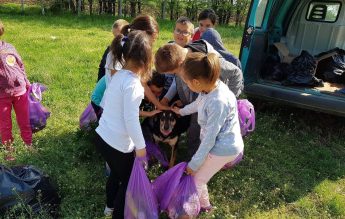 Câteva lucruri pe care să i le spui copilului tău despre căței
