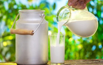 Limita valorii zilnice pentru laptele destinat elevilor a crescut de la 0,99 lei la 1,11 lei