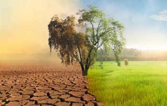 De ce avem nevoie de educație privind schimbările climatice?