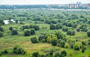 10 propuneri de activități pentru Săptămâna Verde și Școala Altfel, adresate școlilor