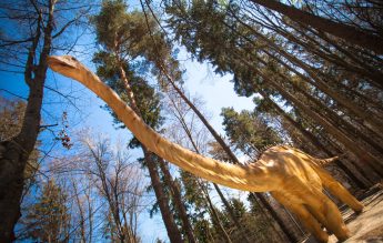 Acces gratuit pentru elevii din țară la Dino Parc Râșnov, în cadrul „Școala Altfel” și „Săptămâna Verde”