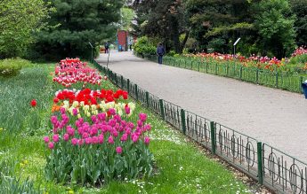 Număr-record de vizitatori la Grădina Botanică din București. 5000 de elevi au contribuit la performanță