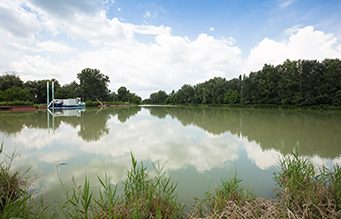 NATURA DINTRE APE a ajuns la finalul a celei de-a doua ediții. Urmează festivitatea de premiere