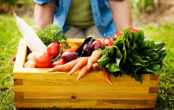Şcolile şi spitalele vor cumpăra doar alimente româneşti. Lanţul scurt va fi adoptat prin OUG