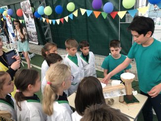 Profesorul – facilitator de creativitate