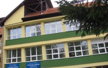 Un urs a intrat în curtea unui liceu din Miercurea Ciuc, în timp ce elevii erau la cursuri