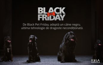 Black Pet Friday: o inițiativă de adopție care prezintă câinii negri din adăposturi ca ultima tehnologie de dragoste necondiționată