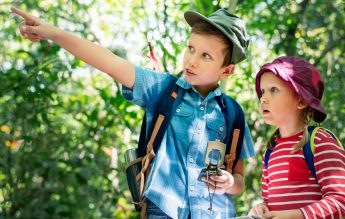 Peste 850.000 de activități s-au desfășurat în „Săptămâna verde”, în toată țara, anul trecut școlar