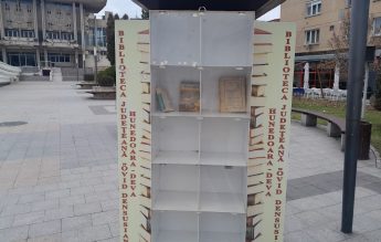 Cărțile din bibliotecile amplasate pe străzile din Deva au fost furate
