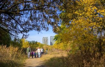 Săptămâna Verde: 14.000 de elevi vor vizita Delta Văcărești