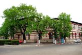 Cinci elevi din aceeași clasă au luat 10 la proba de limba română la Evaluarea Națională
