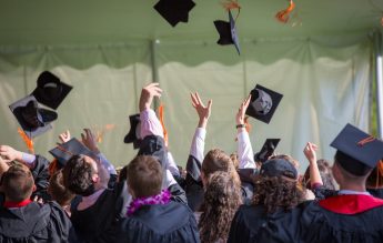 Poliția să intervină împotriva site-urilor care vând lucrări de licență și doctorat – proiect de lege