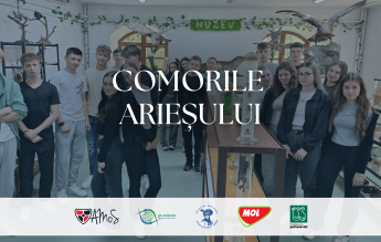Elevii și profesorii dintr-un Colegiu Național au făcut echipă pentru revitalizarea unui muzeu