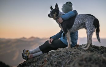 O nouă materie opțională în școlile din Ilfov: drepturile și îngrijirea animalelor