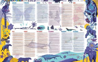 Calendarul Științific 2025, distribuit gratuit în școli. Descoperă lumea naturală și sprijină educația științifică din România!