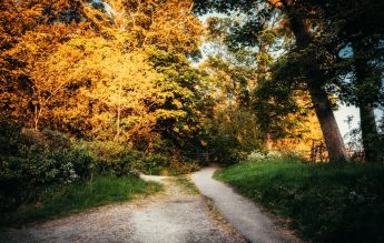 Copilul dispărut în timpul excursiei cu școala a fost găsit teafăr