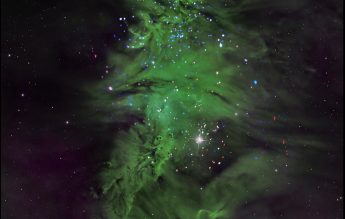 Bradul Cosmic – imagine spectaculoasă publicată de NASA în ziua de Crăciun