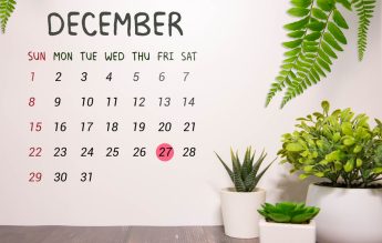 27 decembrie este zi liberă, fără recuperare, pentru profesorii din București și Ilfov