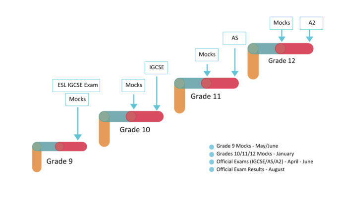 grafic materii co-curriculare AVENOR