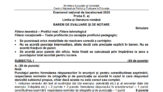BAC 2025 Subiectele și baremele de la simularea probei de limba română au fost publicate