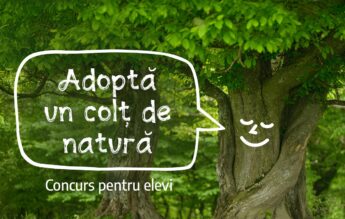 Concurs dedicat protejării mediului înconjurător, pentru elevii din zona Făgăraș