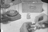 25 mai 1940: Penicilina și testele pe șoareci