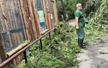 Grădina Zoologică București se închide temporar, din cauza furtunii de joi