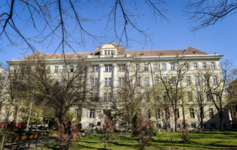 UMF Timișoara, program de formare în inteligența artificială pentru profesori și studenți