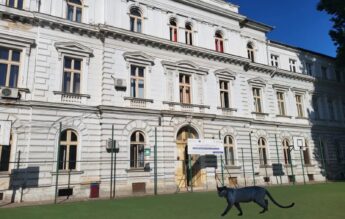Un liceu din Timișoara organizează o petrecere în curtea școlii în loc de festivitate