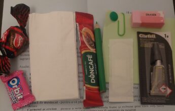 ”Kit de supraviețuire” pentru părinți, oferit de profesoara Alexandra Chirea