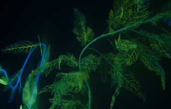 Întâlniri cu apa prin artă – instalații interactive, mișcare și realitate virtuală, pe 23 octombrie, la Brăila