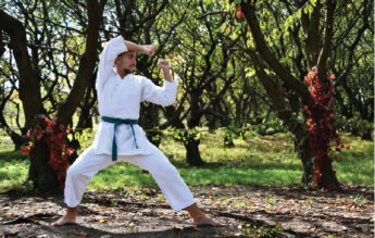 Performanțe naționale și internaționale în Karate ale elevilor de la Liceul Internațional de Informatică Spectrum, Cluj-Napoca