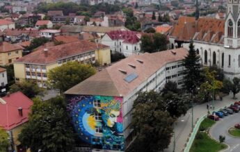 O elevă a murit după ce ar fi ingerat fructe toxice de la o plantă ornamentală