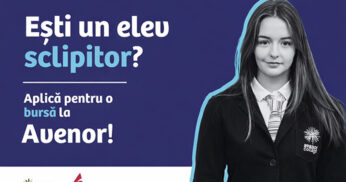 Avenor Bursa