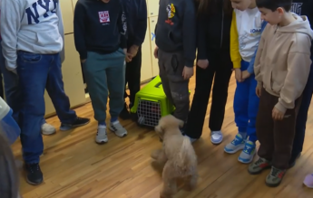 Elevii au mers la ore cu animalele de companie, într-o școală din Timișoara